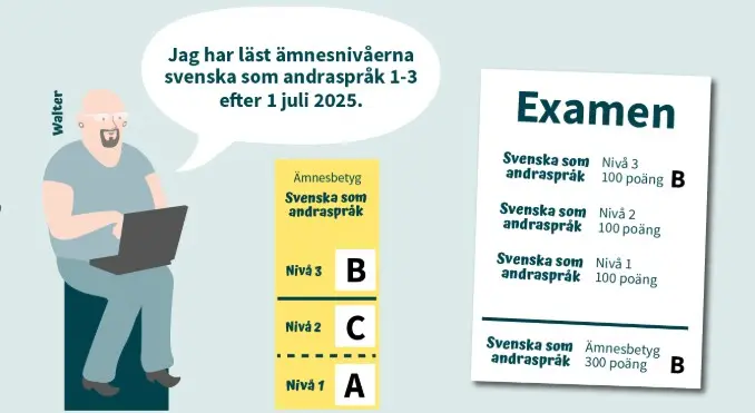 Betyg för nivåerna