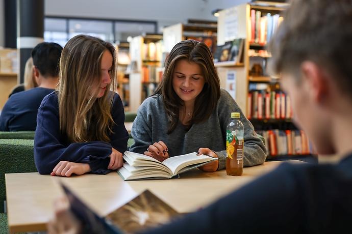 Elever som studerar i skolbiblioteket