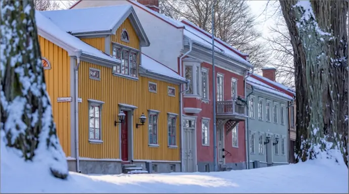 Närbild på julgransbelysning