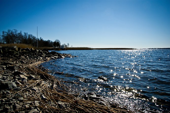 Vårsol vid Vänern